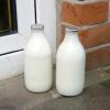 The Milkman's Avatar